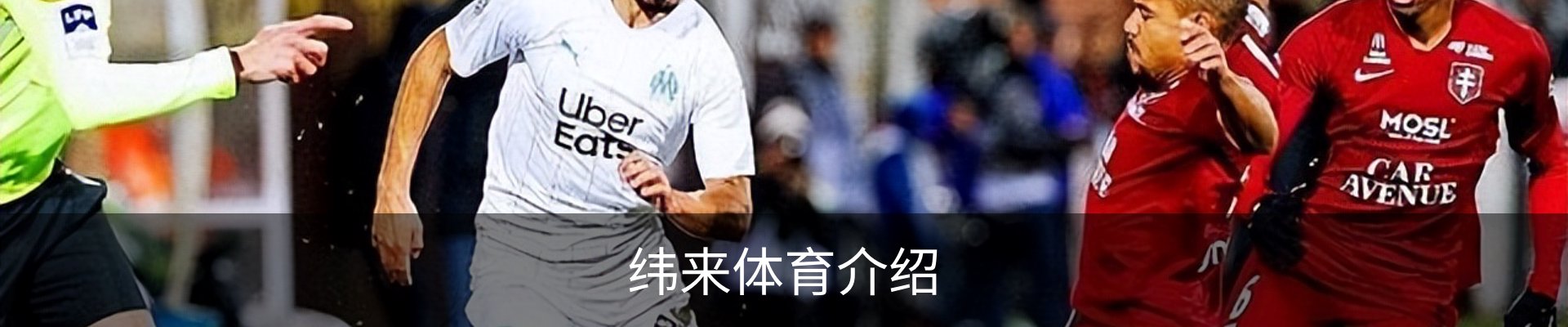 纬来体育介绍